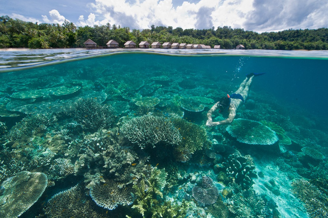 Raja Ampat Jadi Destinasi Snorkeling Terbaik Dunia 2024 Raja Ampat Jadi Destinasi Snorkeling Terbaik Dunia 2024