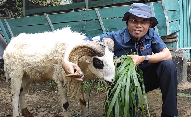 Tradisi Aqiqah di Berbagai Daerah di Indonesia Tradisi Aqiqah di Berbagai Daerah di Indonesia