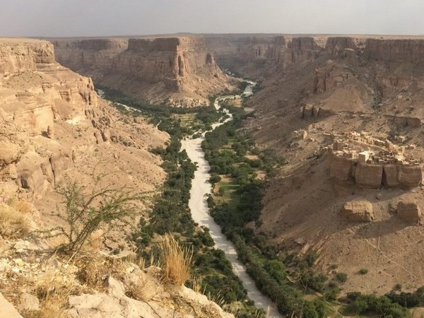 Lembah Penghasil Madu Terbaik Dunia Wadi Dau'an Hadramaut Yaman Selatan Lembah Penghasil Madu Terbaik Dunia Wadi Dau'an Hadramaut Yaman Selatan