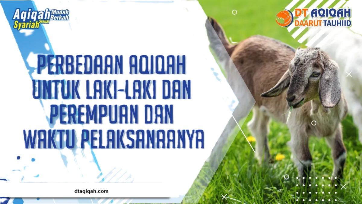 PERBEDAAN DALAM AQIQAH UNTUK LAKI-LAKI DAN PEREMPUAN DAN WAKTU PELAKSANAANYA