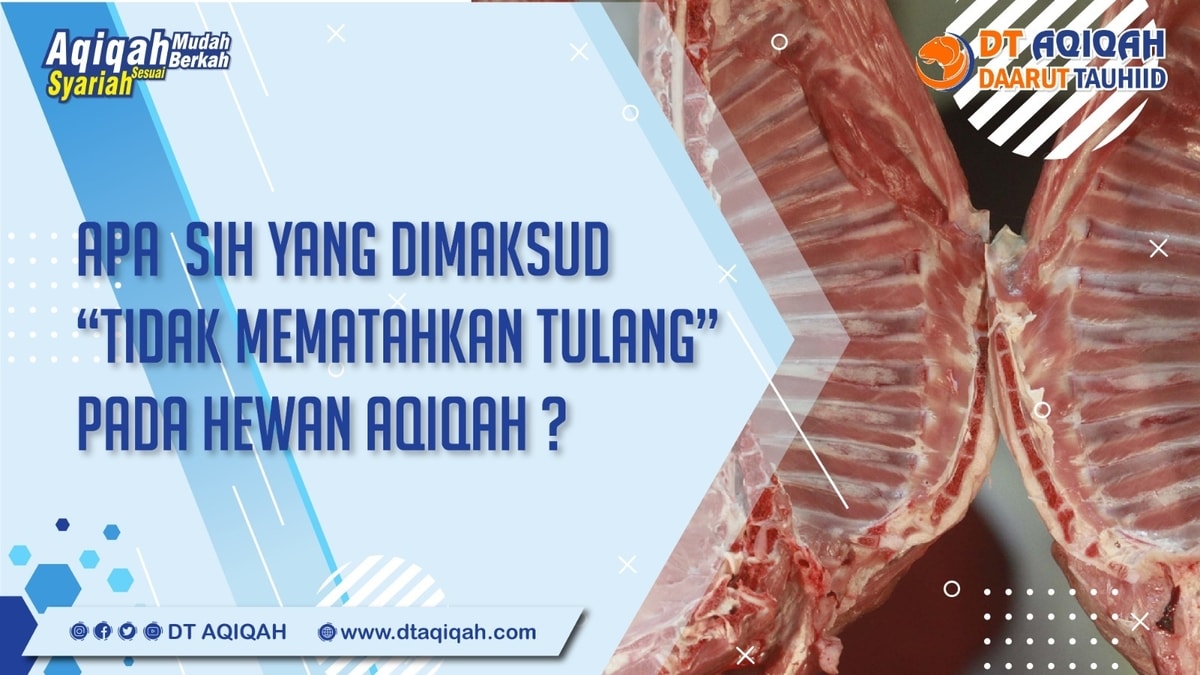Hukum Mematahkan Tulang Hewan Aqiqah