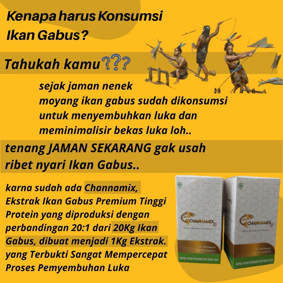Channamix: Kapsul Ikan Gabus Premium, Luka Operasi Sembuh 7x Lebih Cepat