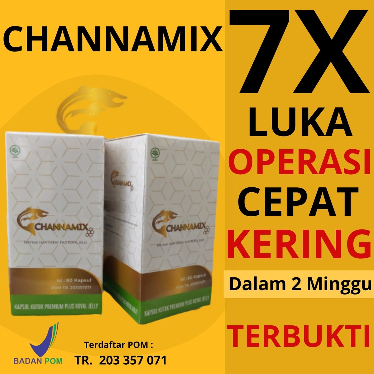 Channamix: Kapsul Ikan Gabus Premium, Luka Operasi 7x Lebih Cepat Kering