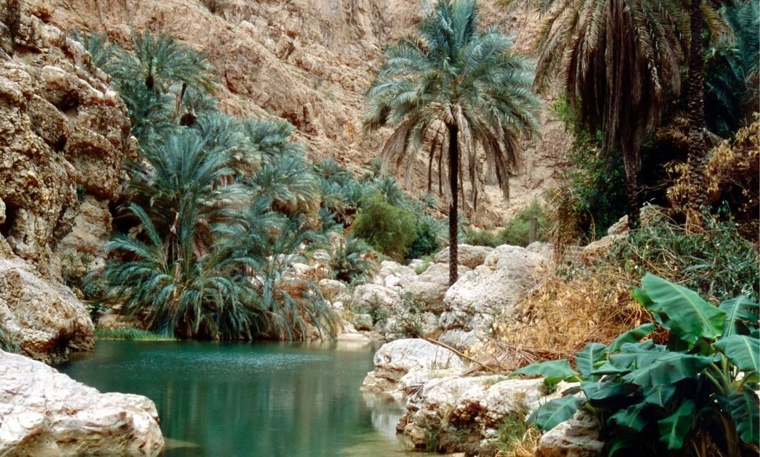 Lembah Penghasil Madu Terbaik Dunia Wadi Dau'an Hadramaut Yaman Selatan
