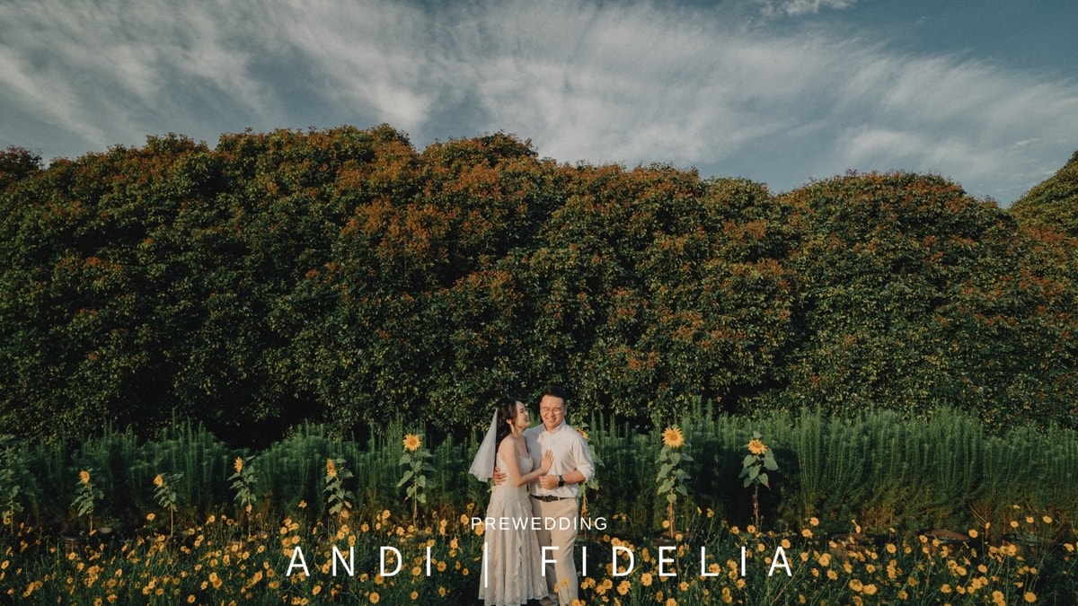 Andi | Fidelia
