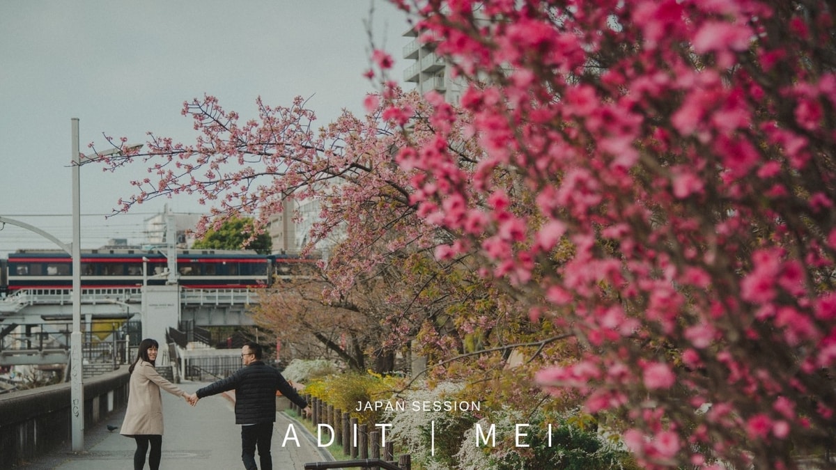 Adit | Mei (Japan)