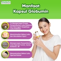 MANFAAT KAPSUL KUTUK GLOBUMIN - 7X Mempercepat Penyembuhan Luka Pasca Berbagai Operasi