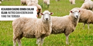 Keajaiban Daging Domba dalam Islam: Nutrisi dan Keberkahan yang Tak Terduga
