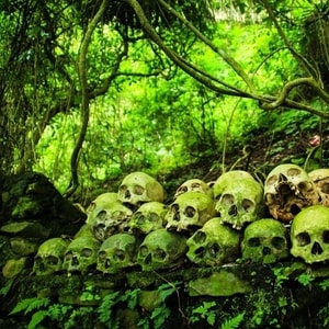 Suasana tenang pemakaman tradisional di bawah pohon Taru Menyan Desa Trunyan.