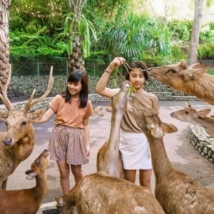 Suasana nyaman kamar resort ramah keluarga di Bali dengan pemandangan taman hijau.
