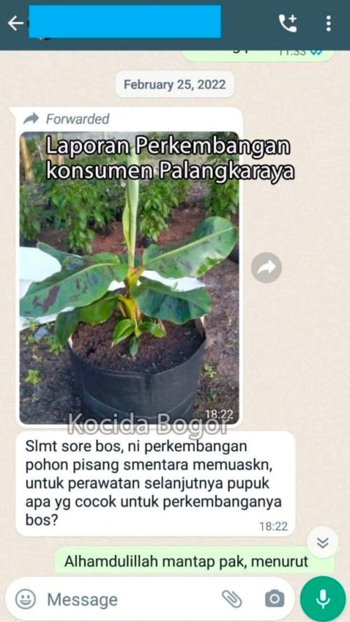 -