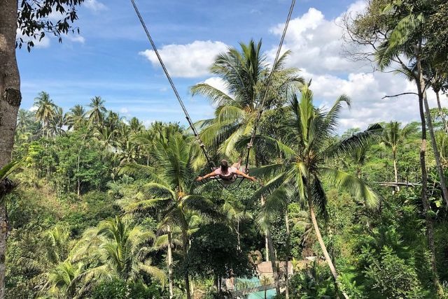 Daya tarik yang menggabungkan perkebunan kopi, pertokoan, kafe, dan ayunan panorama di atas lahan hijau.