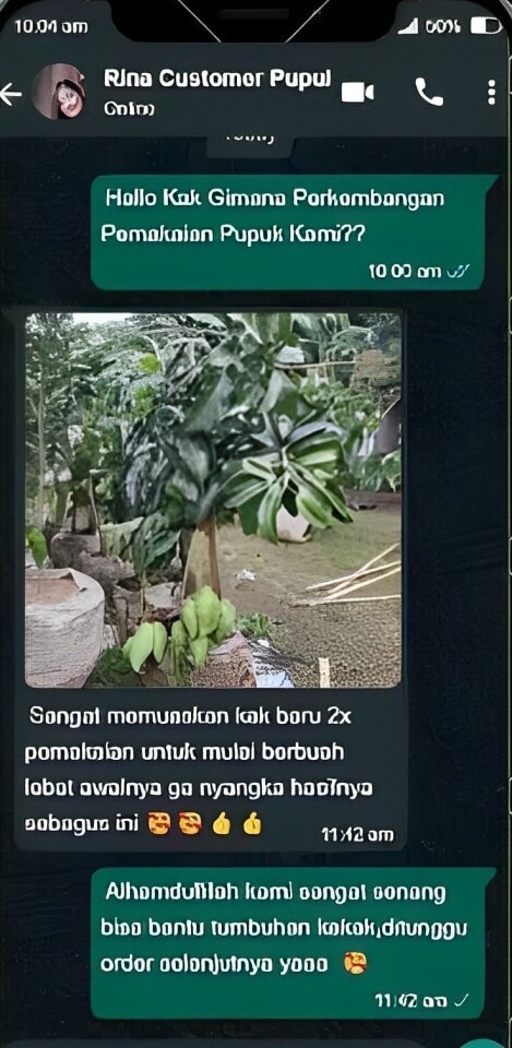 -