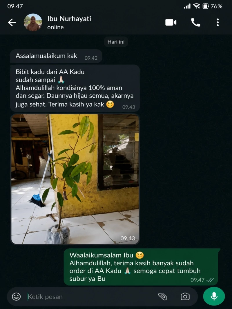 Testimoni Chat Pembeli Bibit Durian AA Kadu 5