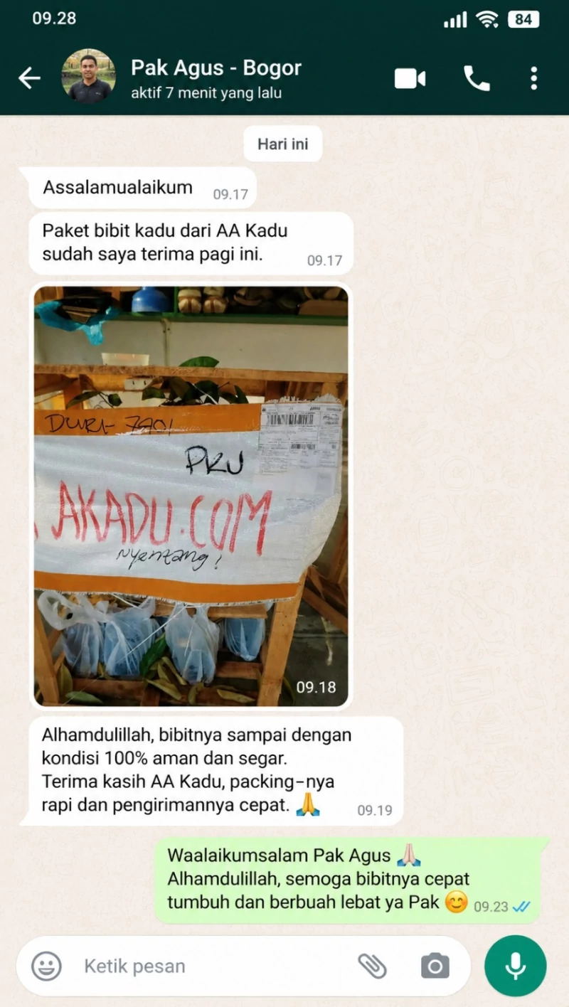 Testimoni Chat Pembeli Bibit Durian AA Kadu 1