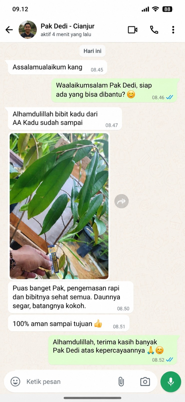 Testimoni Chat Pembeli Bibit Durian AA Kadu 4