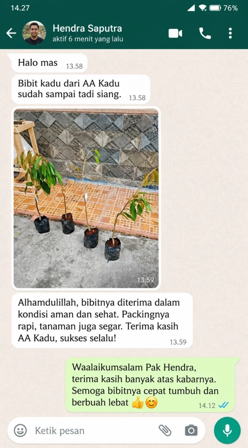 Testimoni Chat Pembeli Bibit Durian AA Kadu 3