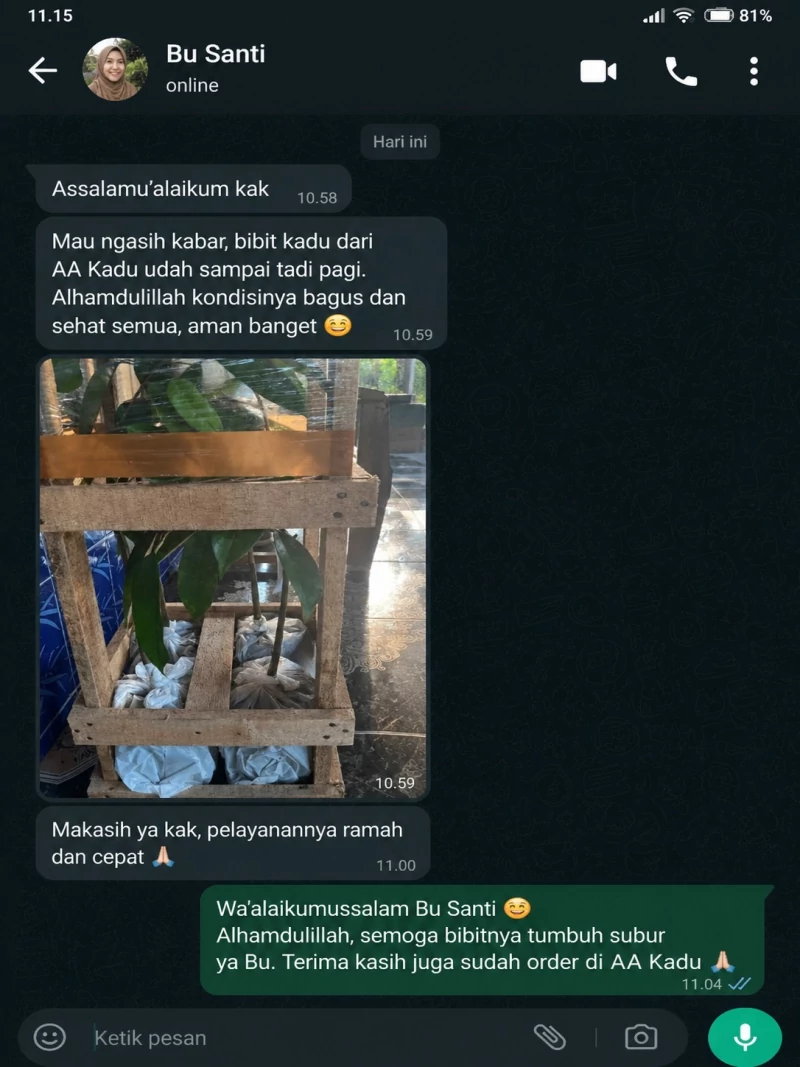 Testimoni Chat Pembeli Bibit Durian AA Kadu 6