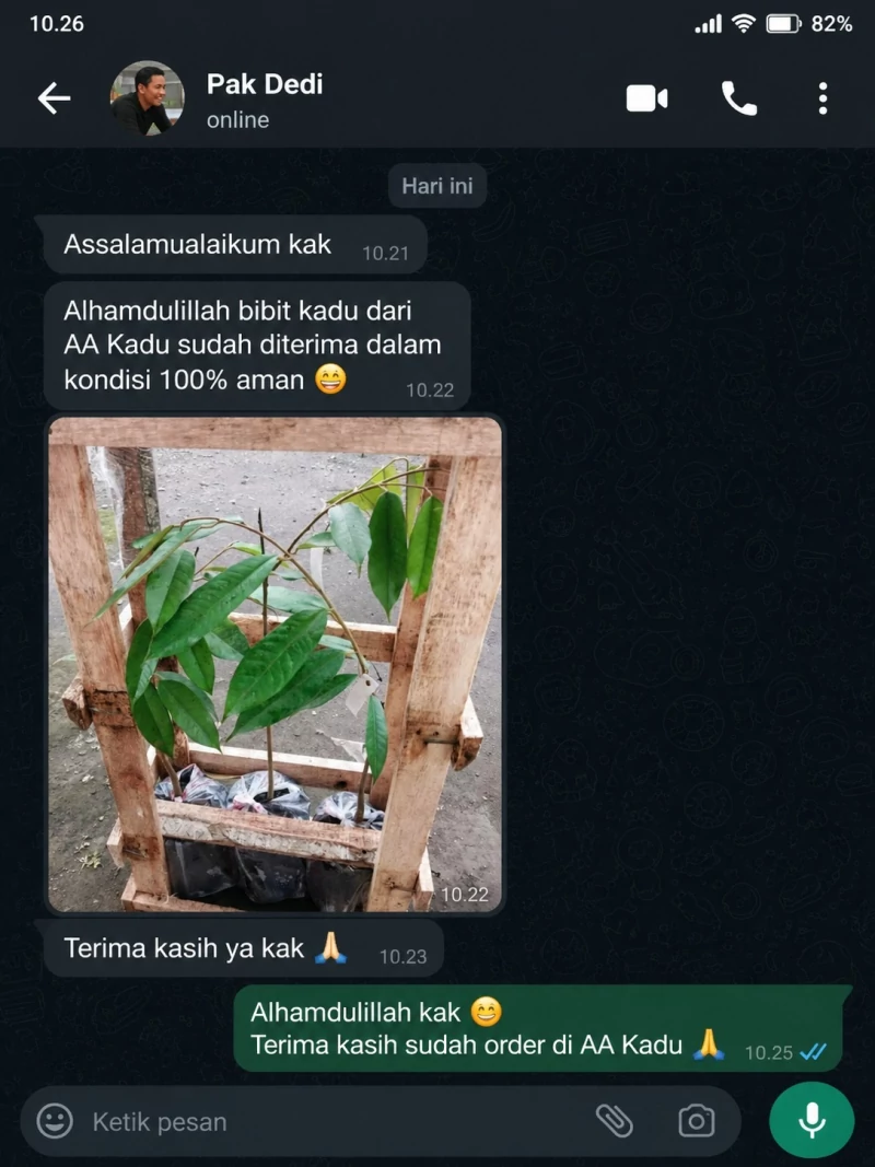 Testimoni Chat Pembeli Bibit Durian AA Kadu 7
