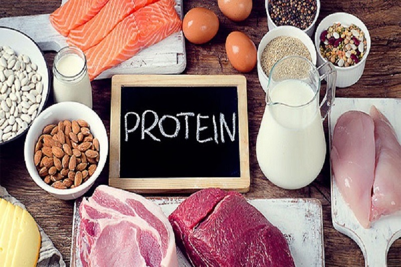 Makanan Protein