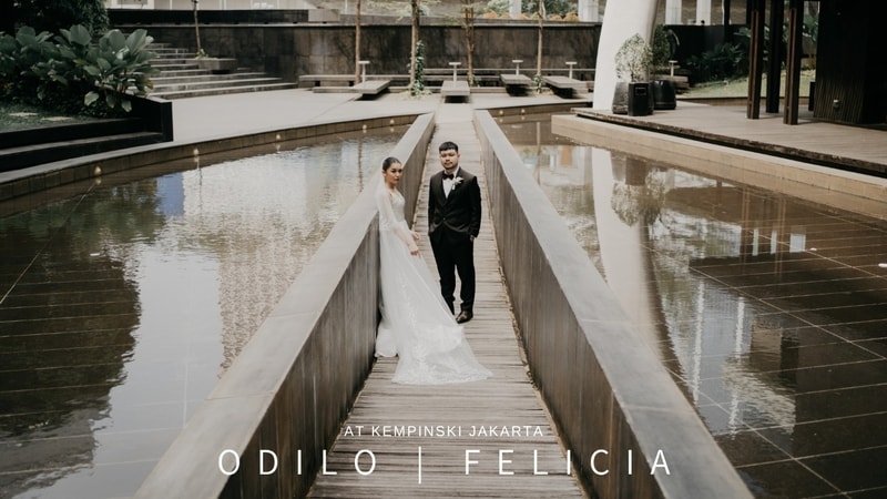 Odilo | Felicia