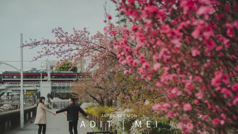Adit | Mei (Japan)